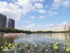 -南翔镇银翔湖公园