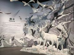 -中国湿地博物馆