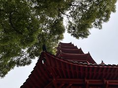-绳金塔