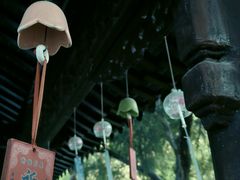-莫愁湖公园