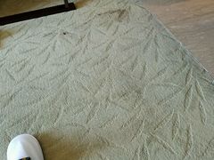 地毯污渍-大榭国际大酒店