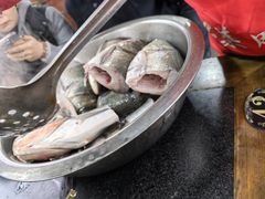 -老杨砂锅鱼庄