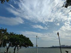 -深圳湾公园(南山区)
