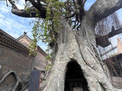 -康百万庄园