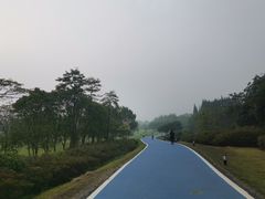 -宜兴龙背山森林公园