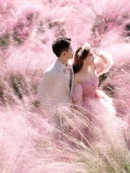 -莫兰迪婚纱摄影
