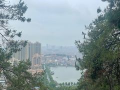 -青龙山国家森林公园