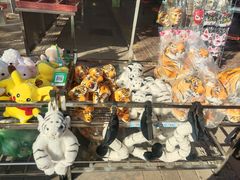 -石家庄市动物园