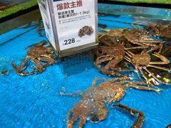 水产区-盒马鲜生(联投广场店)