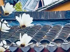 -龙华寺