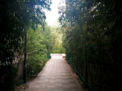 -北京英煌医疗美容