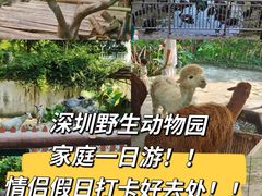 -深圳野生动物园