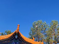 -大召寺明清一条街