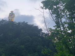 -南山植物园