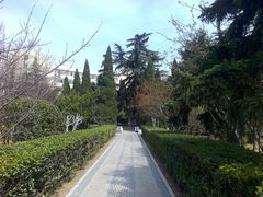 花园-山东大学(千佛山校区)