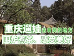 -铁山坪森林公园