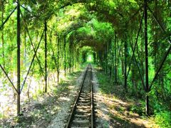 -合肥滨湖国家森林公园