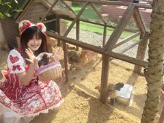 -HERRE·FARM 赫尔露营农场·团建聚会包场