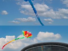 -海合安天津极地海洋公园