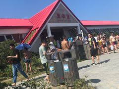 -碧海金沙