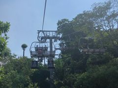 -圣淘沙天际线斜坡滑车