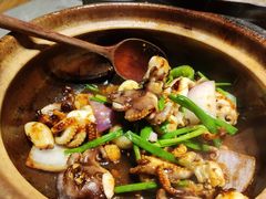 生啫八爪鱼-啫神·广州地标美食(北京路店)