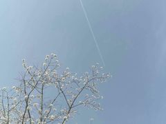 -长兴太湖图影湿地文化园