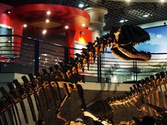 -国家自然博物馆