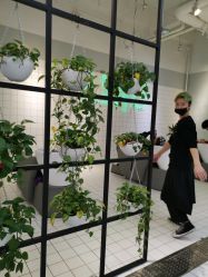 -P.STYLE派斯造型