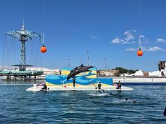 -秦皇岛乐岛海洋王国