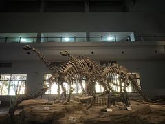 -自贡恐龙博物馆