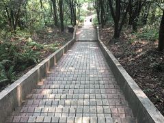 -广州市帽峰山景区