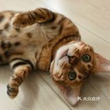 🧚🏻‍♀️ 小可可的日常  # 有趣的不是生活本身，而是你自己 #