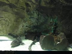 -苏州海洋馆