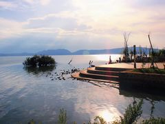 -呈贡滇池生态湿地公园