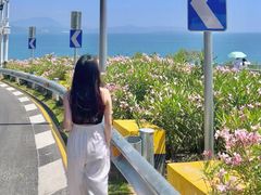 -玫瑰海岸文化旅游度假区