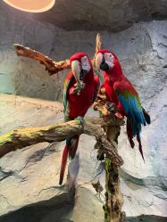 -Zoolung Zoolung动物主题公园(海信广场店)