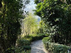 -天目湖涵田度假村