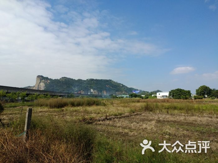 沟南许地-油菜花向日葵-图片-汕头购物-大众点评网