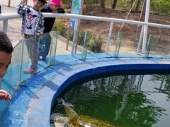 -北戴河圣蓝海洋公园