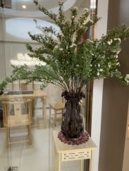 -头道汤头疗养生馆