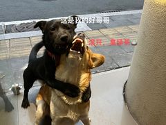 -福州肆爪动物医院
