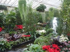 -墨尔本皇家植物园
