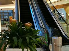 -杭州滨江宝龙城