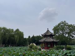 -莲池书院博物馆