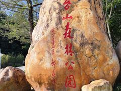 -阳台山森林公园