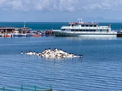 -青海湖国家重点风景名胜区