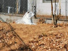 -石家庄市动物园