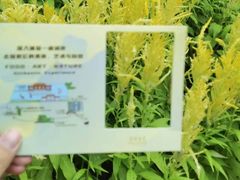 -广州花园酒店
