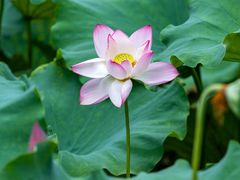 -北山街历史文化街区